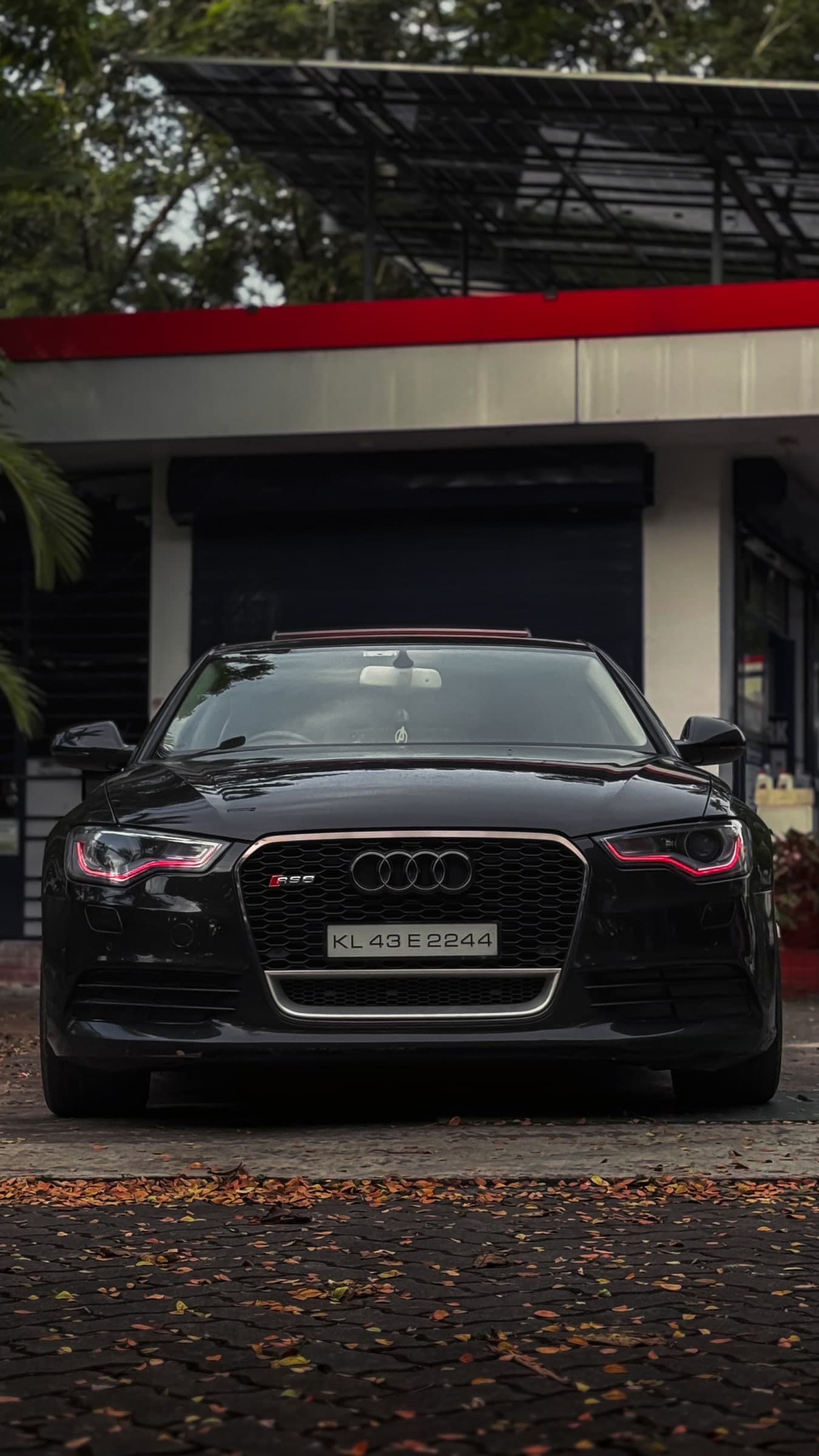 Black Audi photographed from the front on a leaf-strewn driveway