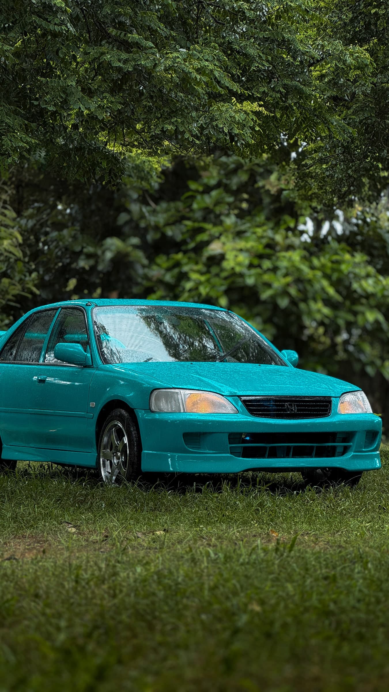 Turquoise older sedan covered in rain beneath leafy trees